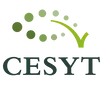 logo-cesyt