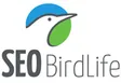 logo-seo-main